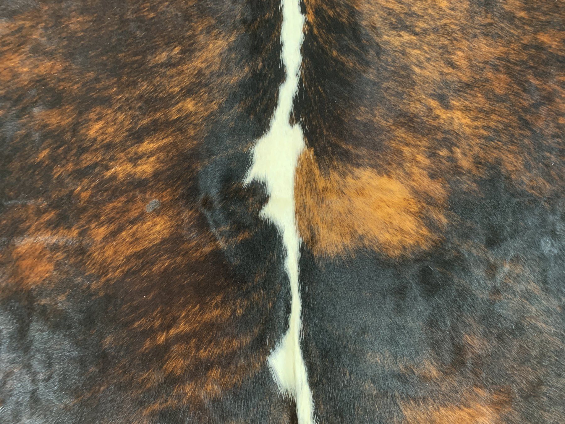 Tappeti: echtes Kuhfell Teppich exotic tricolor – Nuovo e nell'imballaggio originale da Arbedo venduto da patagonialeatherrugs 1