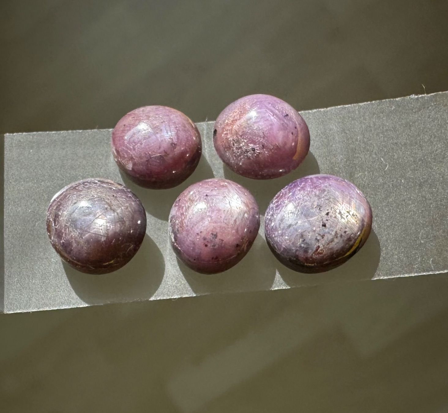 Pietre preziose: Stern Rubin 5 Cabochons wunderschön ECHT – Nuovo e nell'imballaggio originale da Leuggern venduto da gemshow 9