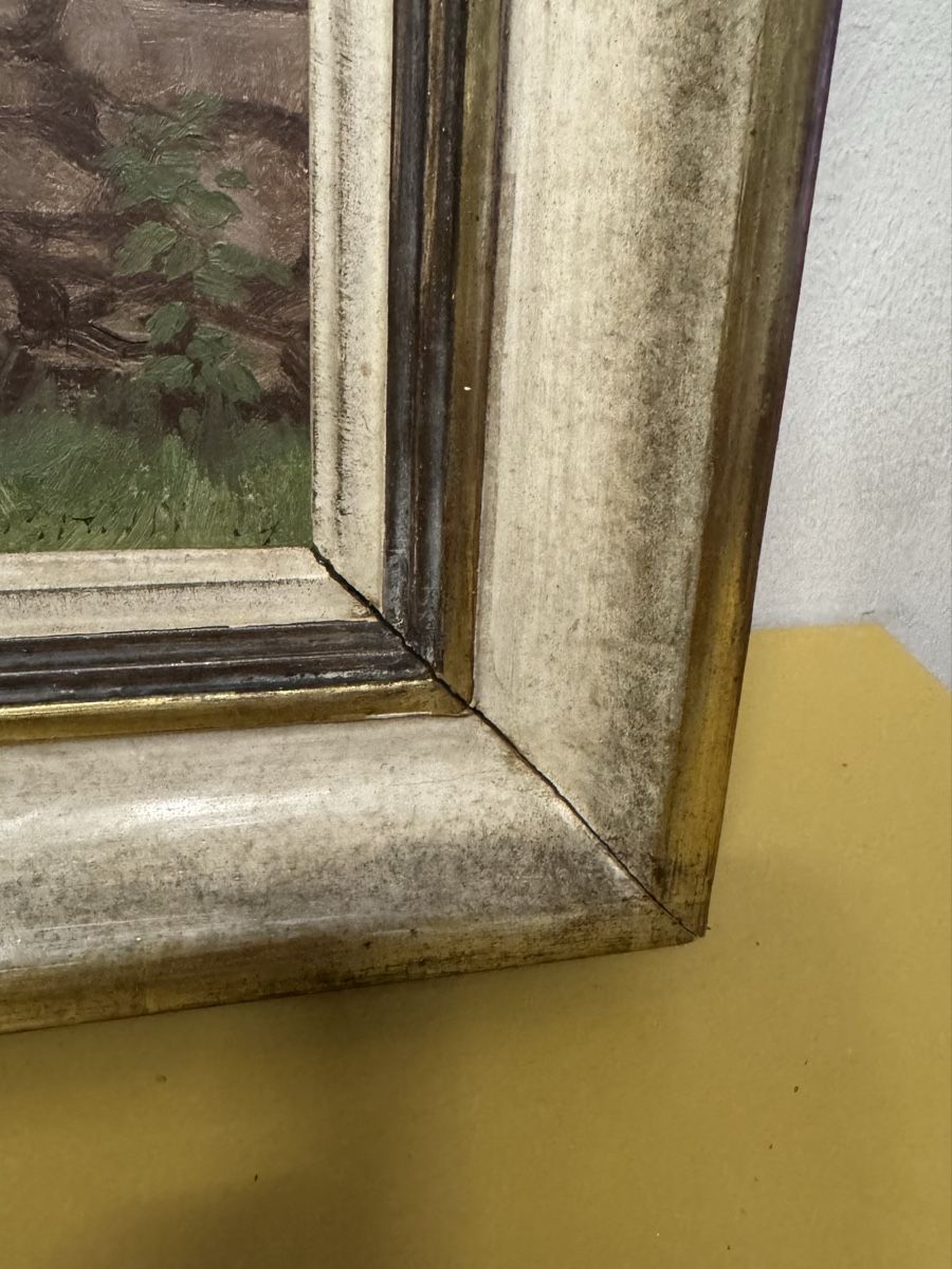 Dipinti: Original gemalte signiert Bild – Usato da Schlieren venduto da Freundlich02 4