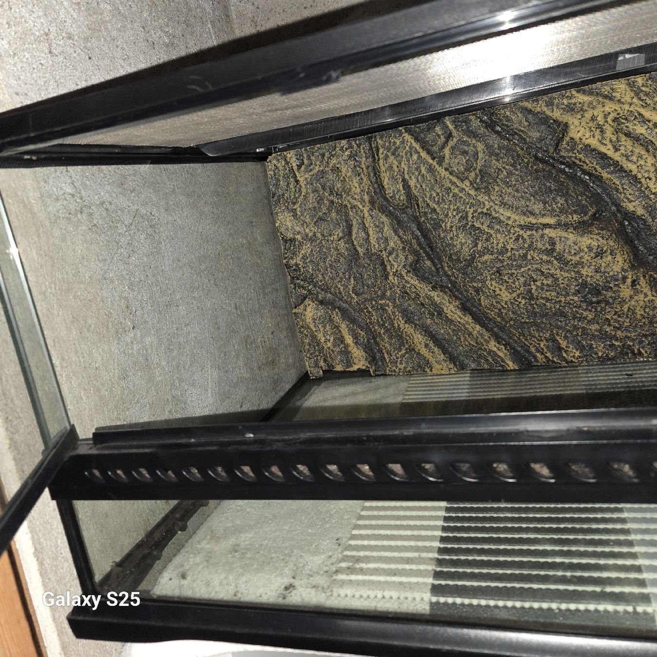 Terrariums: Terarrium – D'occasion à Kräiligen par gab_k8kf 1