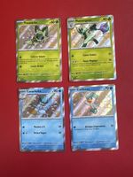 Pokemon Ital Baby Shiny Starter wunderschön echte Rarität