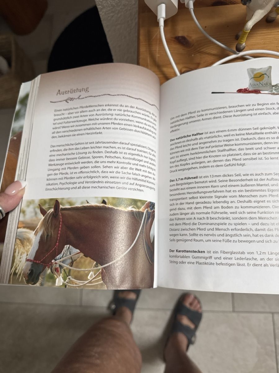 Livres: Buch – D'occasion à Seewen SO par Muggi3 1