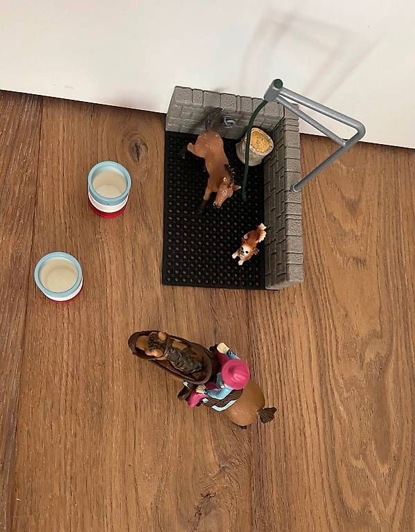Jouets: Schleich Waschplatz – D'occasion à Stein am Rhein par kuh_5g2h 2