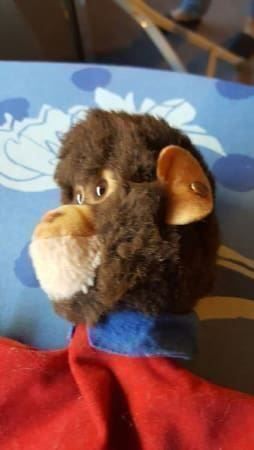 Steiff Spielzeuge: STEIFF – Gebraucht aus GLARUS von Glarus4 2