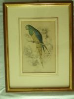 Lithographie Nanodes Venustus