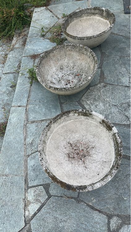 Sitemapcdatahttpsshopinf Inetcomvasque De Jardin D Occasion