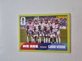 CPV 13