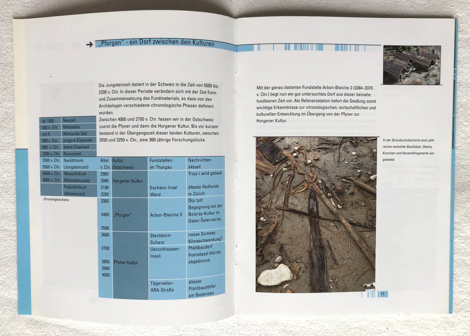 Libri: Seesicht, verbaut... – Usato da St.Gallen venduto da Paddington11 3