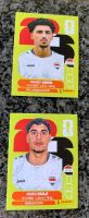 Panini Stickers