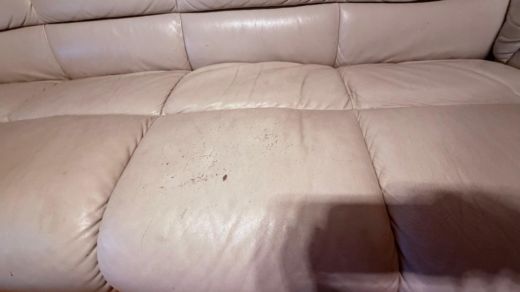 Sofas: Ekomes Collection Echtleder Sofa – D'occasion à Flueh par Leslie1 2