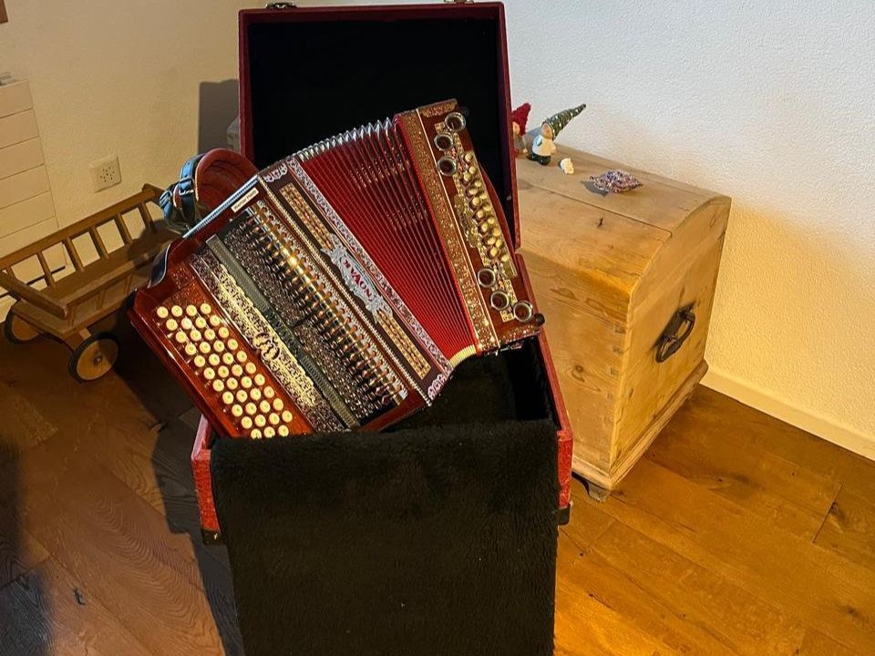 Strumenti musicali: Novak Superium Harmonika – Usato da Eschen venduto da Forsttech-Eschen