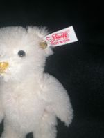 Steiff Teddy, Knopf im Ohr, Weiss, Vintage, Rarität! (51)