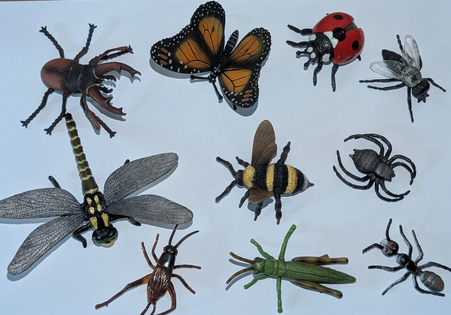 Statuette: 10er-Set Insektenfiguren – Usato da Weite venduto da Nur63
