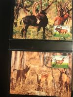 WWF Angola 1990 Riesenrappenantilope Satz Maximumkarten