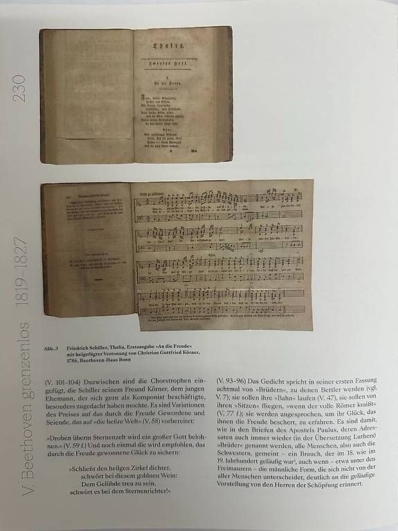 Libri: Beethoven Jubiläumsbuch mit historischen Dokumenten – Usato da Obernau venduto da Arche_Noah_Brocki 5