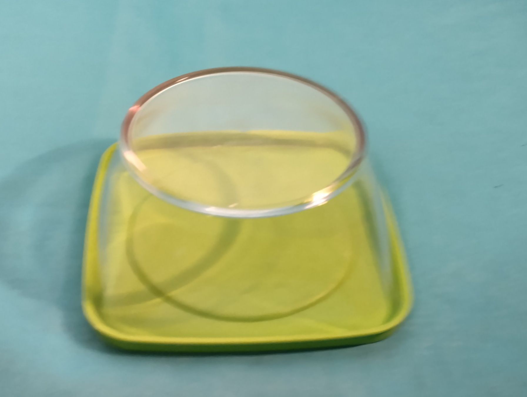 Tupperware Contenitori & Simili: Tupperware Behälter, 6.2dl – Nuovo (secondo la descrizione) da Bellach venduto da JingleCherry 2