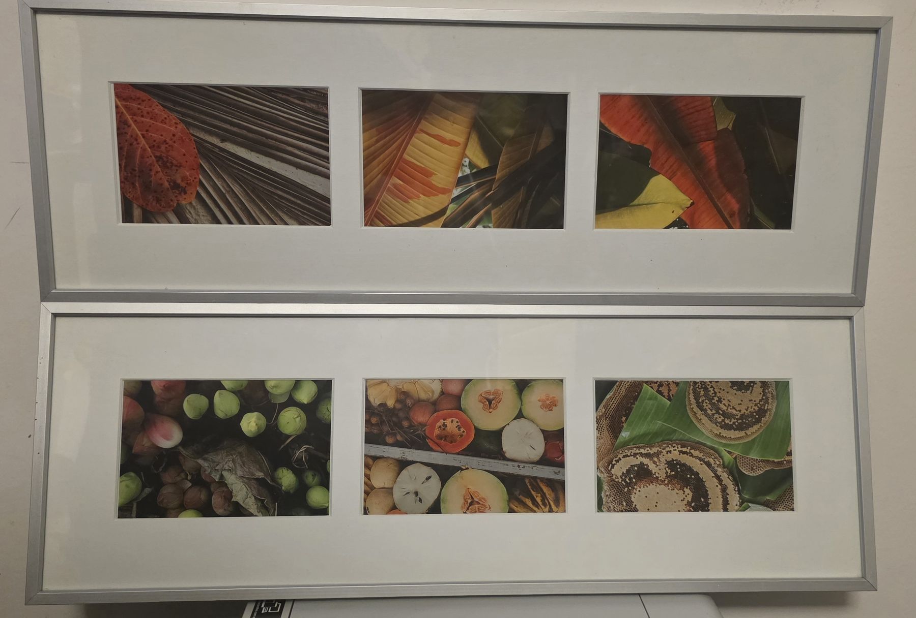 Foto & Immagini: 2x Triptyques faits par photographe pro – Nuovo (secondo la descrizione) da Attalens venduto da Rudebwoy