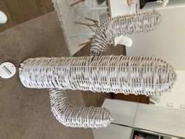 Cactus rattan