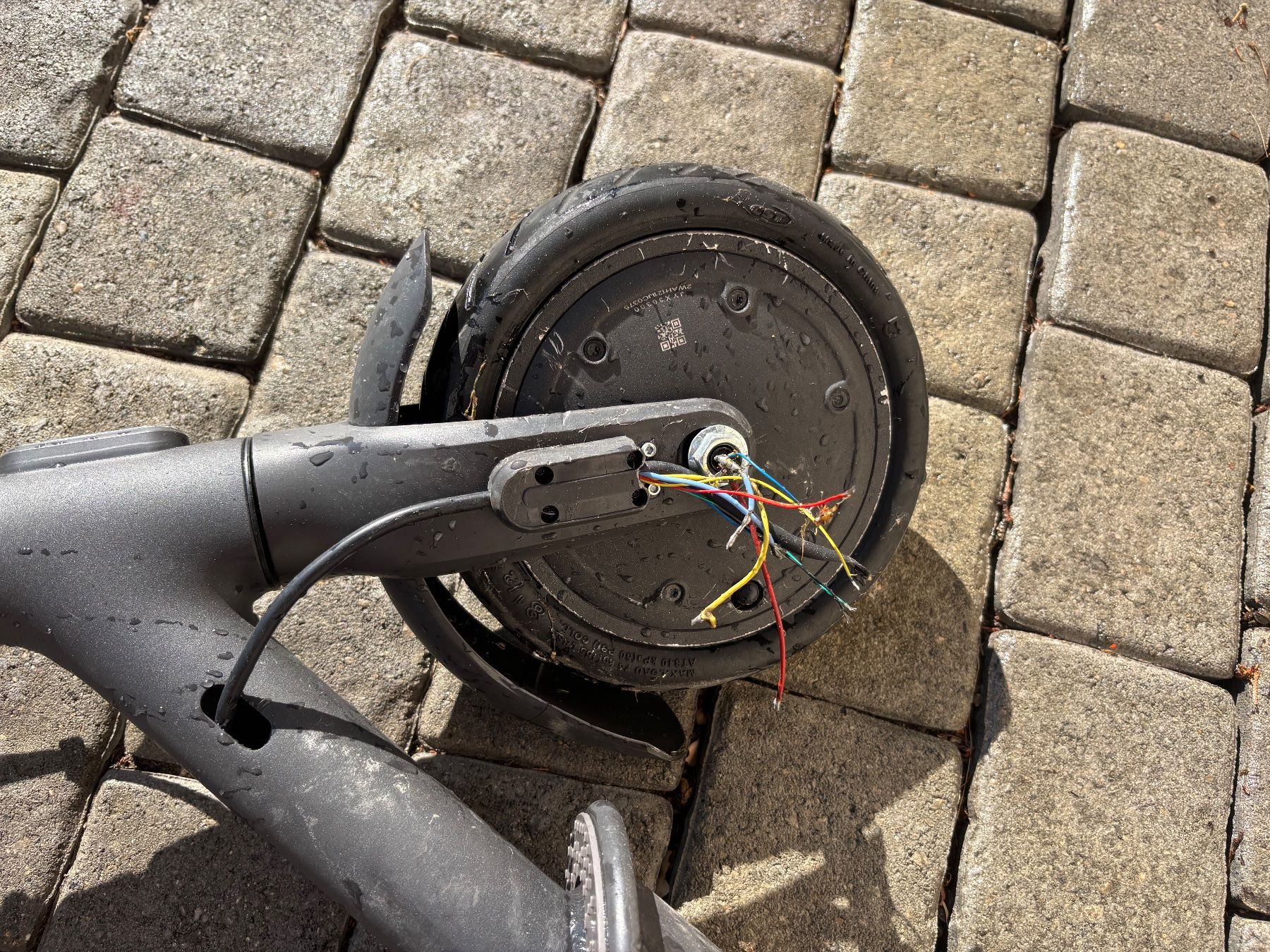 Xiaomi Kickboard: Xiaomi Trotinet – Difettoso da Yverdon-les-Bains venduto da redstef 2