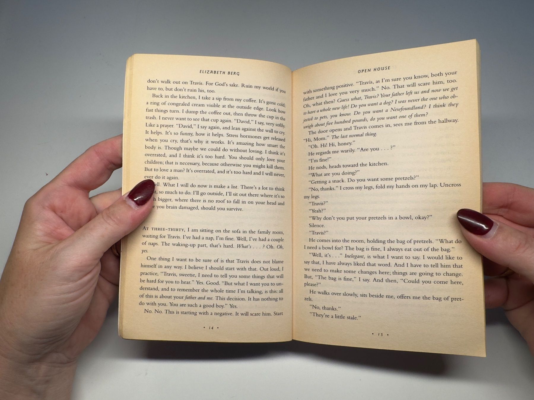 Libri: NOVEL: Elizabeth Berg, Open house – Usato da Grosswangen venduto da English_books 3