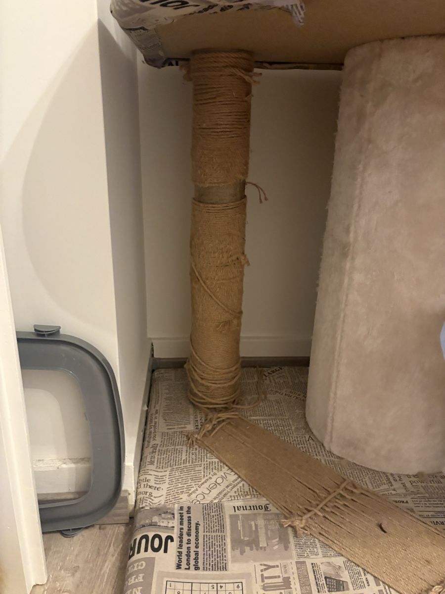 Tiragraffi: Massiver Maine-Coon Katzenbaum – Usato da Basel venduto da wurmli 3