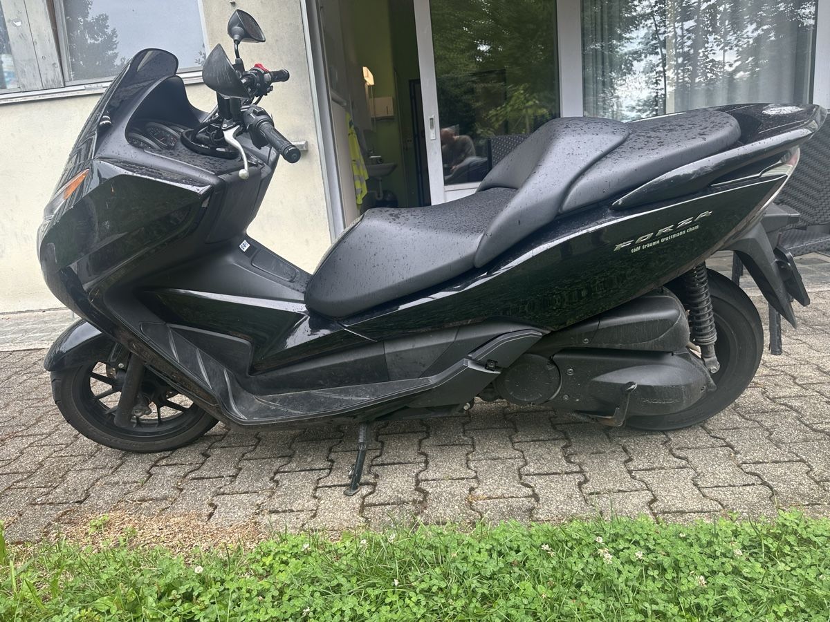 Honda Altro: Honda Forza – Usato da Baar venduto da Swordwalhalla 2