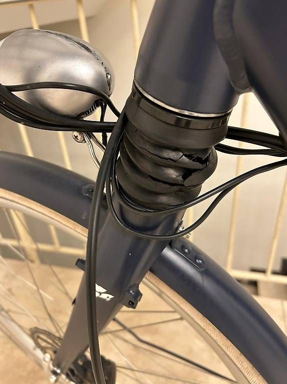 Ego Movement Velos: E-Bike von Ego Movement – Gebraucht aus Luzern von jim_zp6p 3