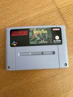 Snes: Secret of Mana