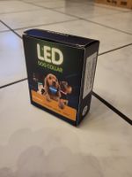LED Hundehalsband Masbrill