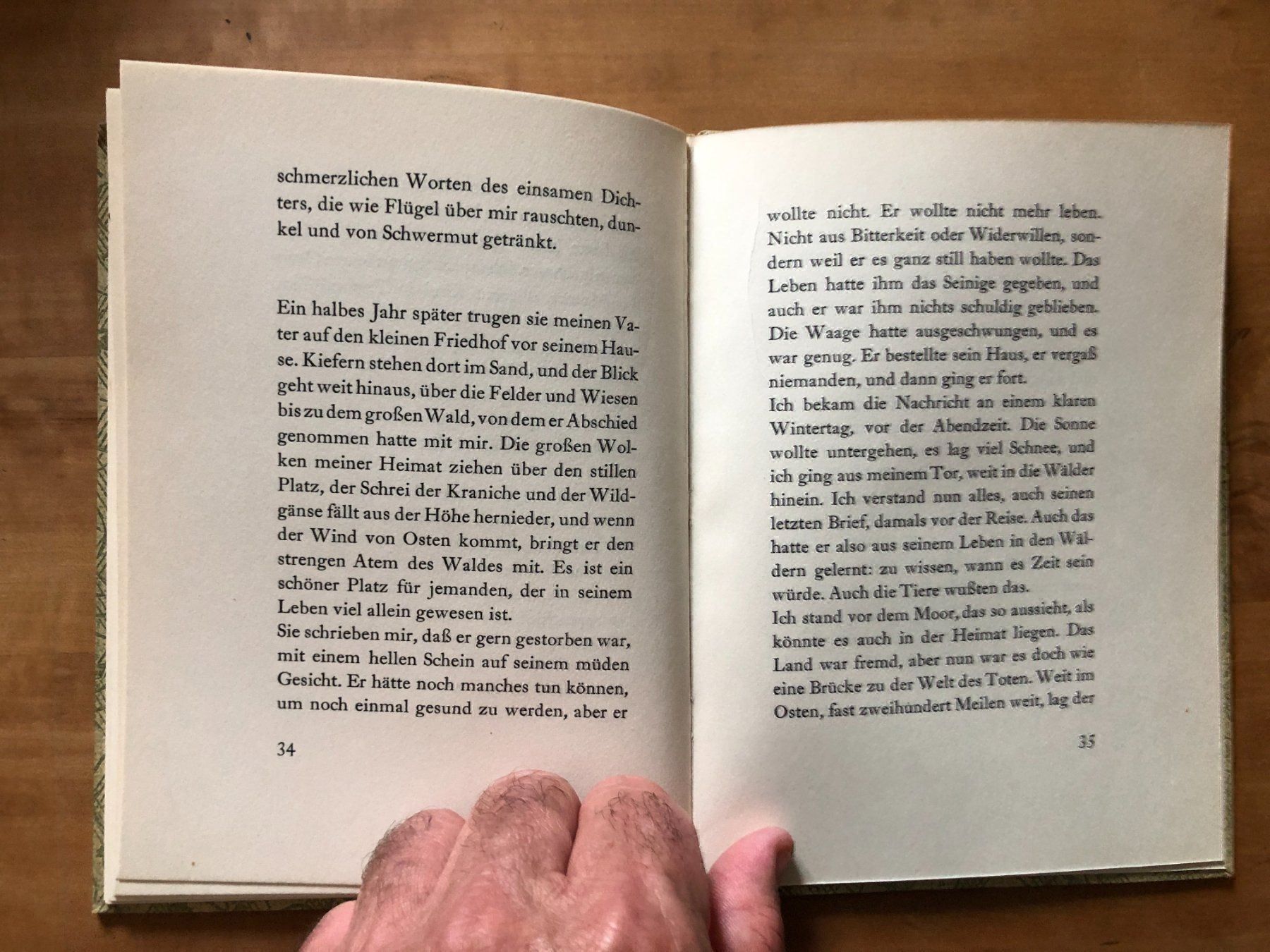 Libri: Ernst Wiechert: Der grosse Wald – Usato da Zürich venduto da allp 5