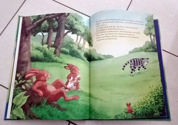 Livres: Kater Vater Hasensohn – D'occasion à Wetzikon ZH par strubeli024 3