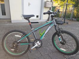 Kinderfahrrad Leopard Forest Cat gebraucht mit Flugrost