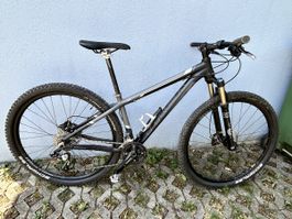 Trek Paragon 29-er