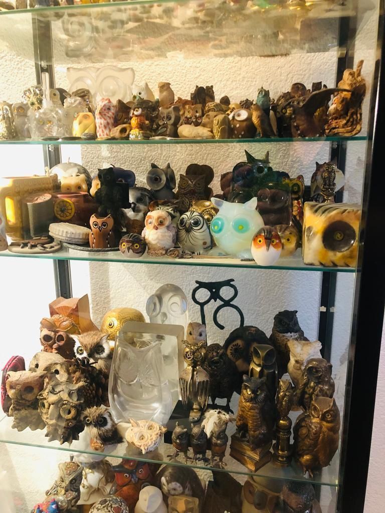 Vetrine: Vitrine mit ca. 300 Eulen zu verkaufen – Usato da Bern venduto da Tresor1952 2