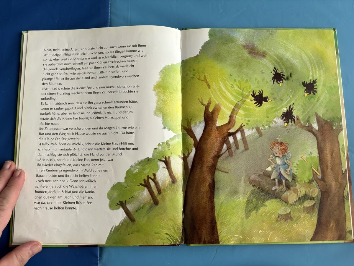 Libri: Kinderbuch "Nee! sagte die Fee" – Usato da Herzogenbuchsee venduto da MoLa85 3