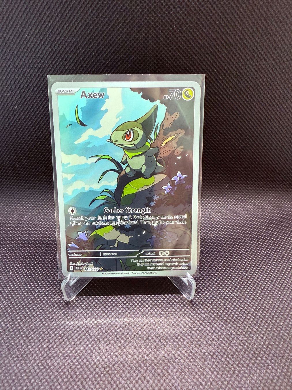 Pokemon Black Bolt - Axew Illustration Rare 145/086 (Gebraucht) in Horn ...