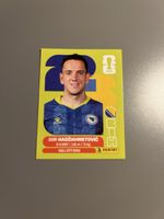 Panini Sticker WM 2026 Hadziahmetovic BIH 8