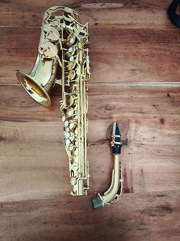 Musikinstrumente: Saxophon – Gebraucht aus Tübach von shenzu