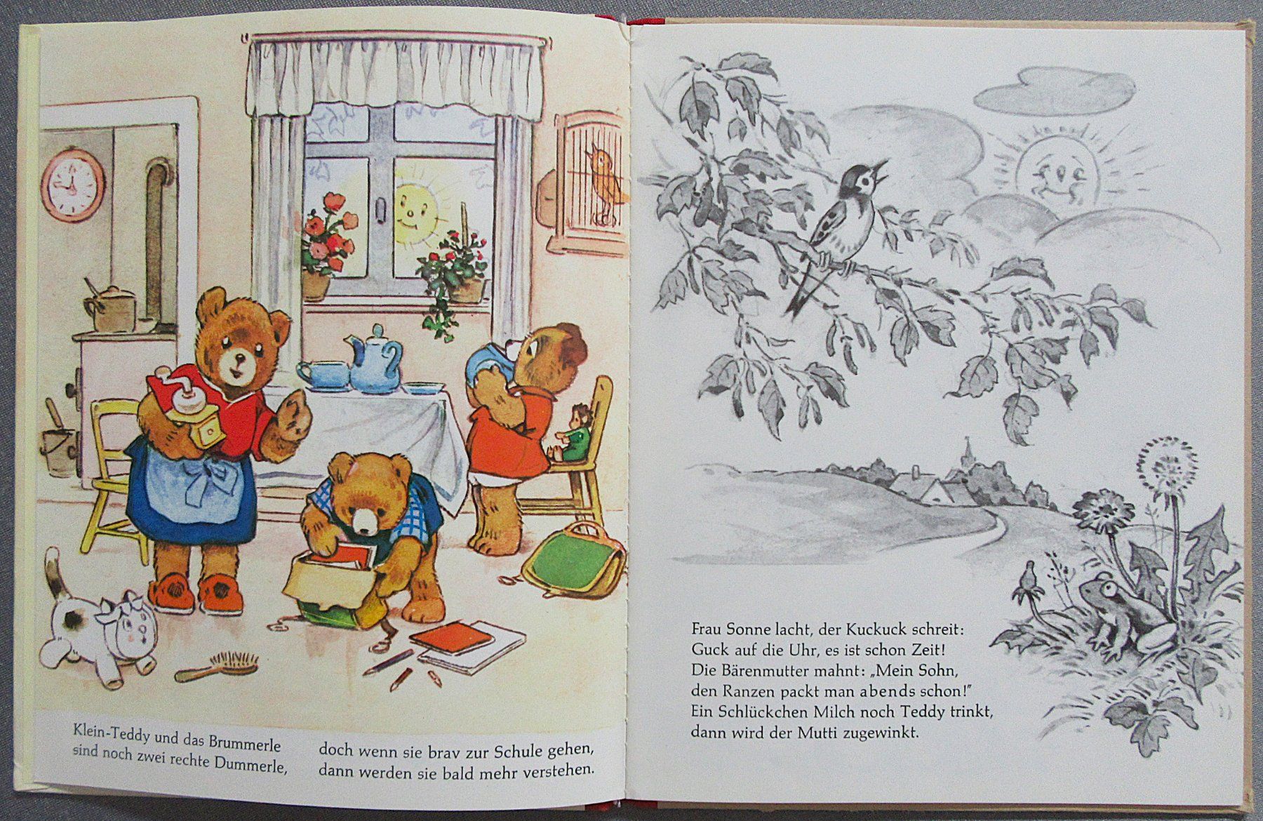 Libri: Die Teddyschule - mit Bildern von Fritz Baumgarten – Usato da Auenstein venduto da Padabimbim 1