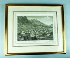 Mitlödi Kt. Glarus Kupferstich 34 x 29cm