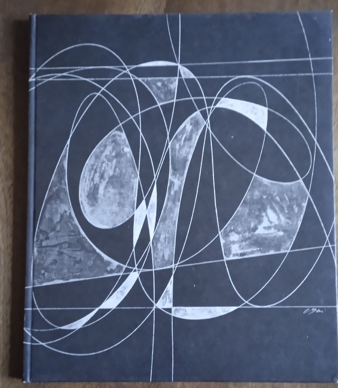 Bücher: Kunstbuch Schweizer Künstler Grafik – Gebraucht aus Bern von ballotenor