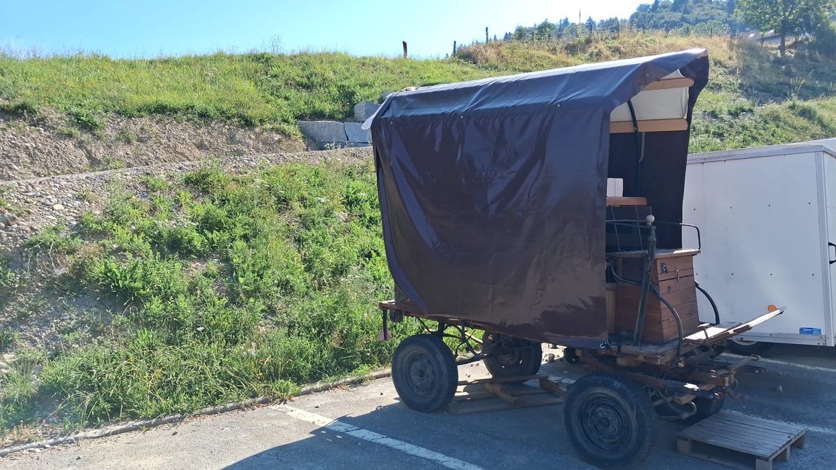 Carrozze: Alter Pferdewagen – Usato da Willisau venduto da son_lq7g 2