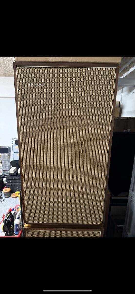 Casse acustiche: Lowther acousta Lautsprecher – Usato da Volketswil venduto da Raffaele1975