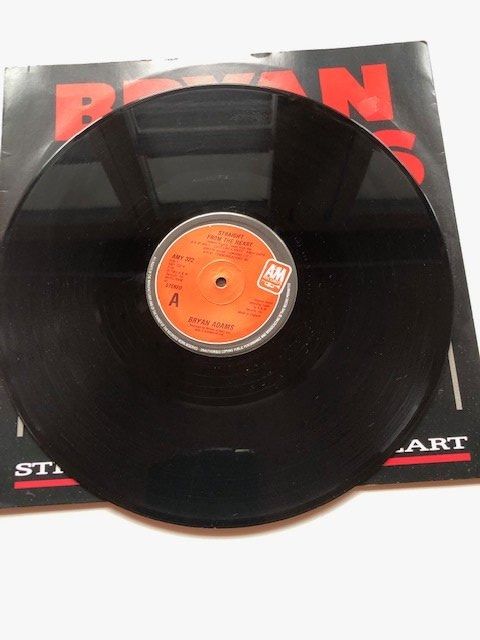 Dischi in vinile: Bryan Adams – Usato da Aarwangen venduto da Jukebox3 3