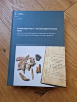 Archäologie BE 2023 (Pfahlbauer Bronzezeit Mittelalter Burg)