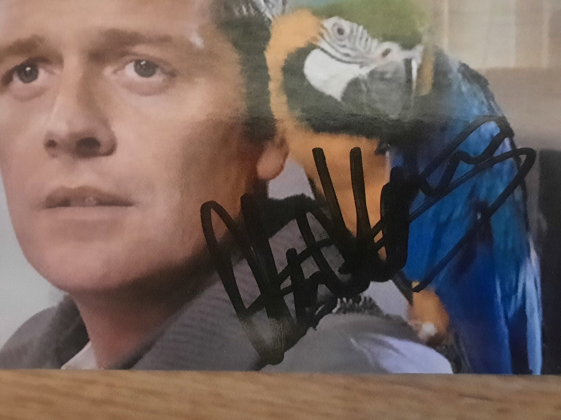 Autografi: Oliver Hörner / deutscher Schauspieler – Usato da Worben venduto da ersa01 1