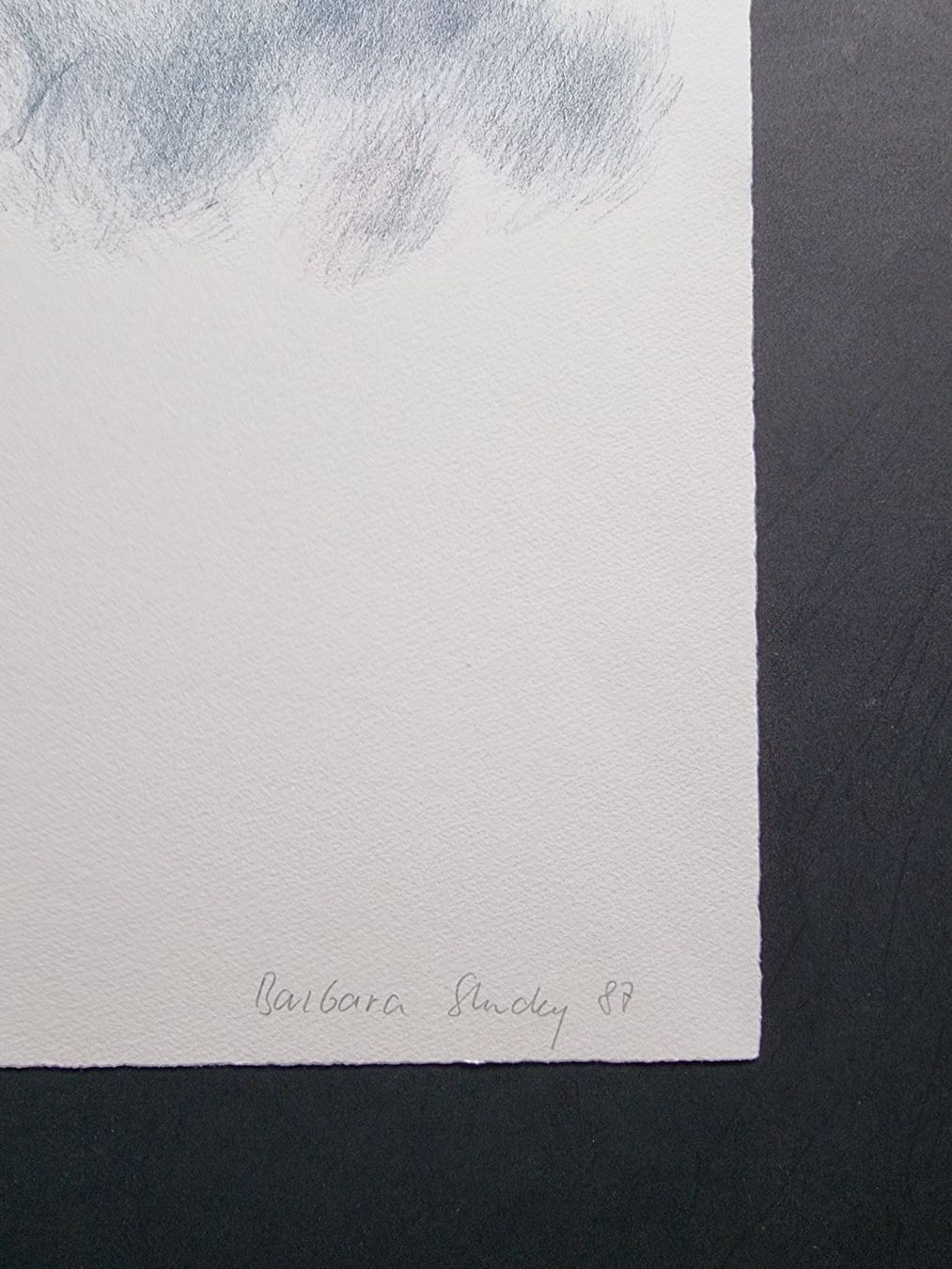 Grafica & Litografie: BARBARA STUCKY LITHOGRAPHIE SIGNIERT NUMMERIERT – Usato da Gersau venduto da grafik-kunst 1
