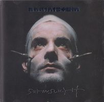 Rammstein, Sehnsucht, Oliver Riedel Frontcover Vergriffen a