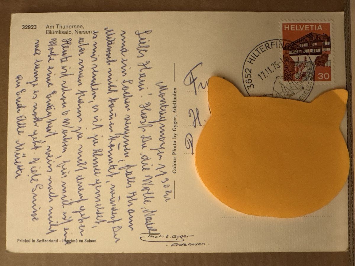 Cartoline postali: AK von am Thunersee – Usato da Rümlang venduto da Kartenpost1 1