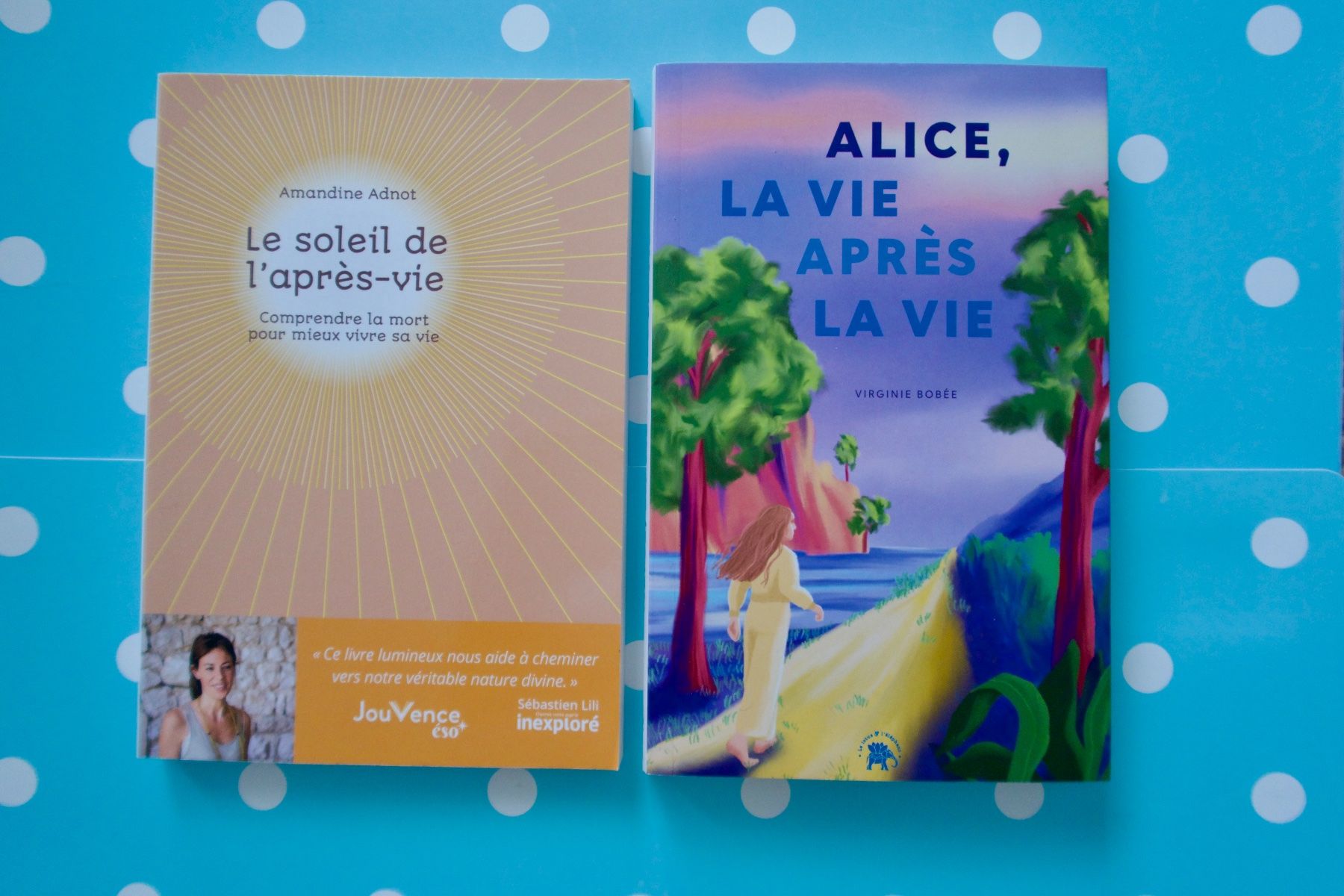 Libri: 2 Livres "...après la Vie" – Usato da Lausanne venduto da Etoile96